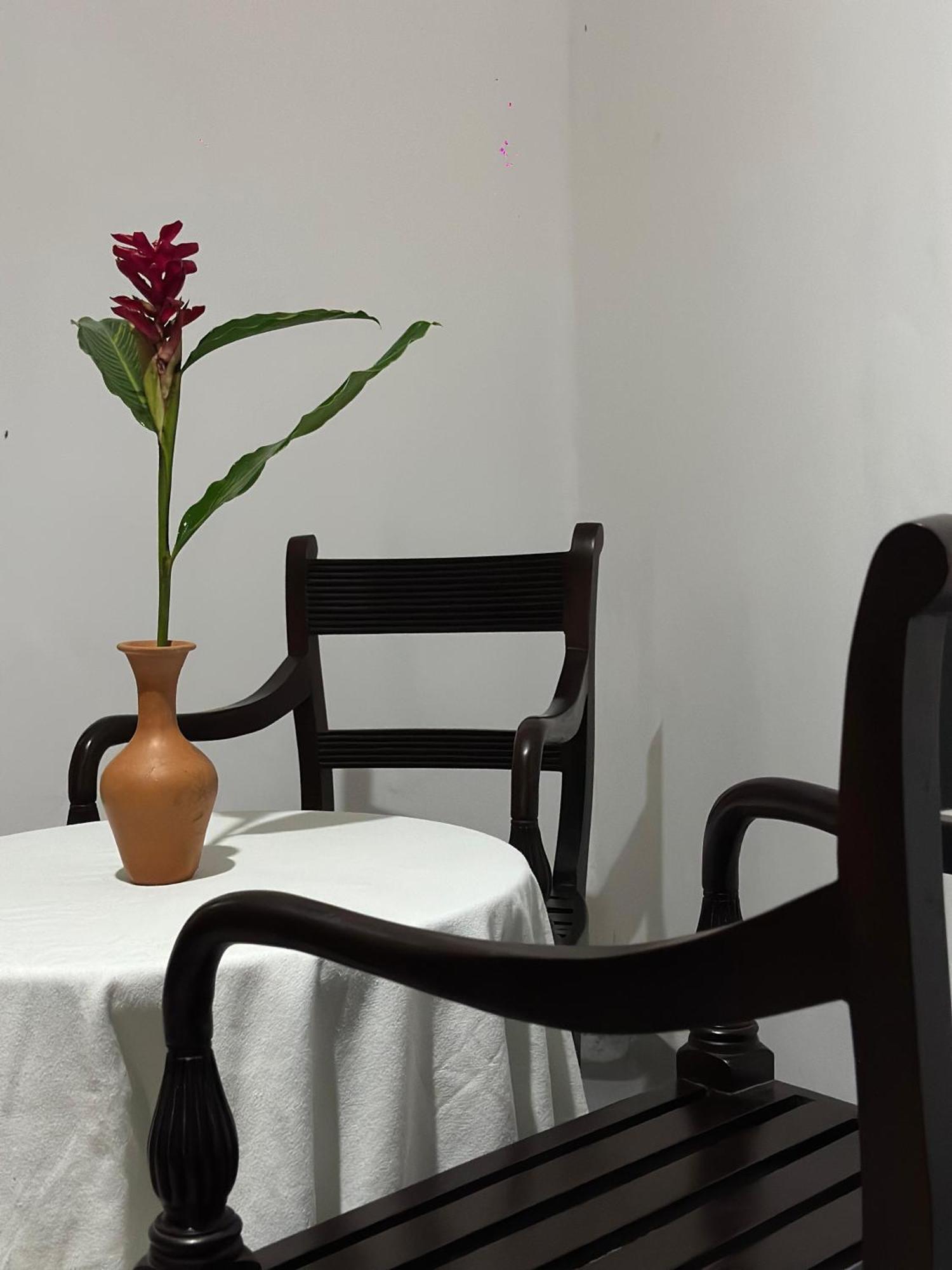 Apartmán Casa Del Ceylon Hikkaduwa Exteriér fotografie