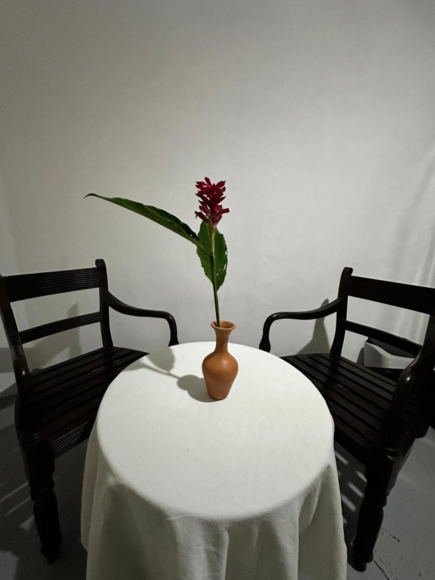Apartmán Casa Del Ceylon Hikkaduwa Exteriér fotografie